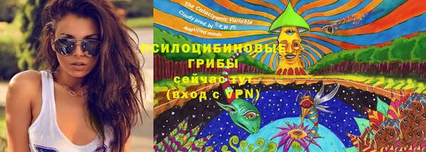каннабис Белокуриха