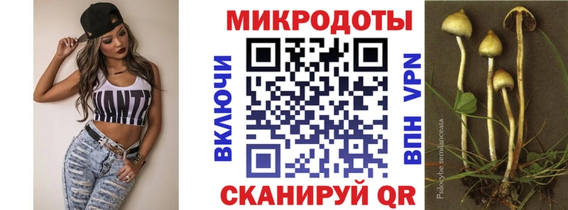 МЕГА рабочий сайт  Цоци-Юрт  Галлюциногенные грибы Cubensis 